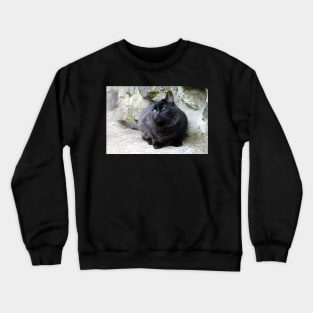 Jess Crewneck Sweatshirt